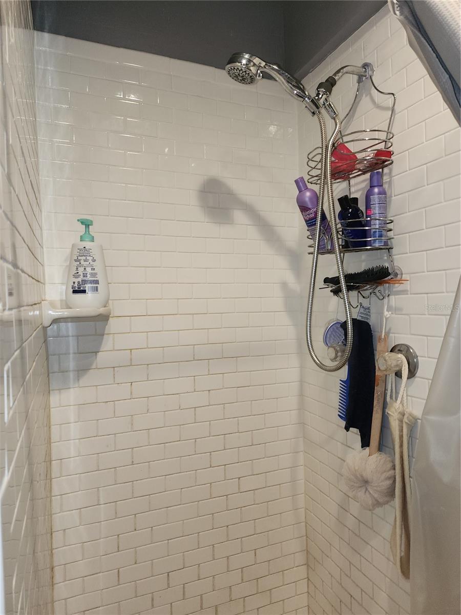 Primary Bathroom Shower