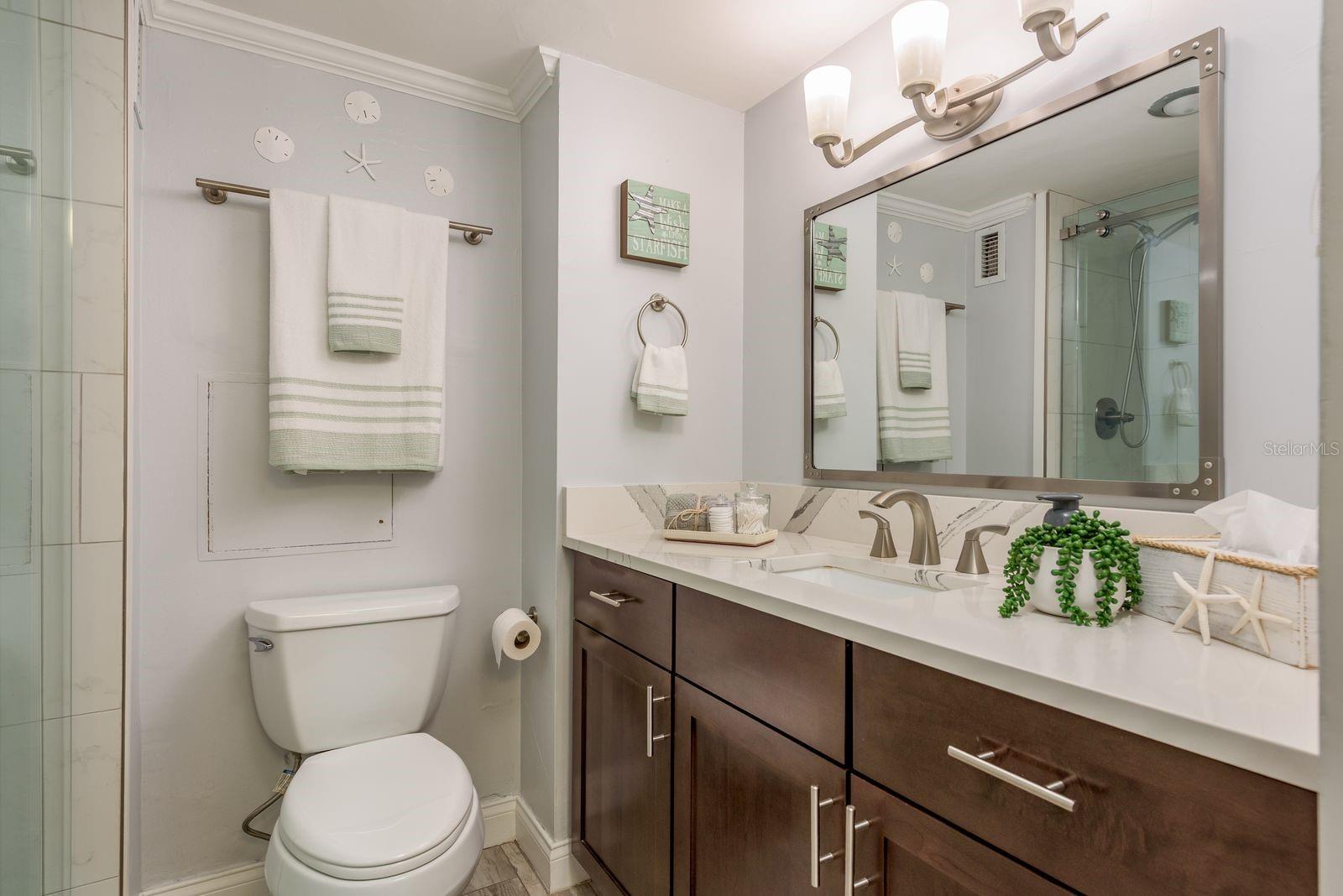 Master Bathroom - New Cabinets, Counter, Sink... Lights... everything!