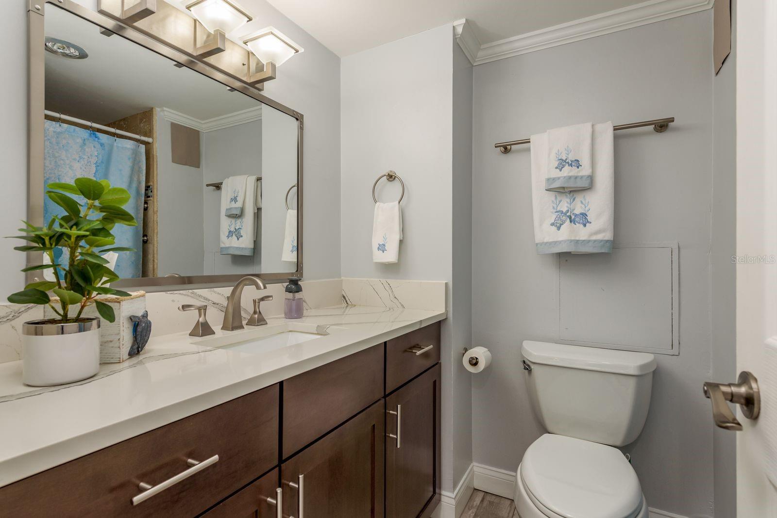 Guest Bathroom - upgraded