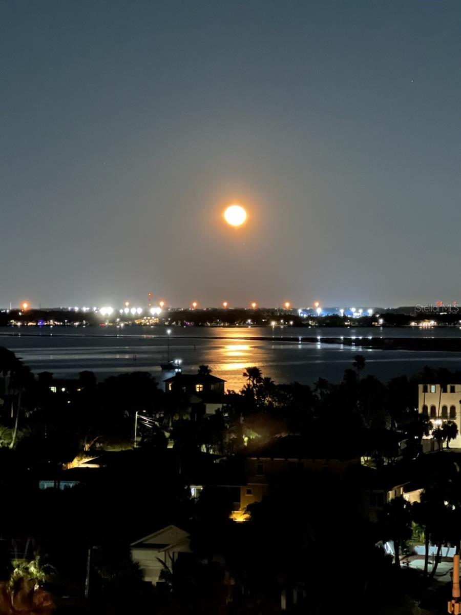 Moon Rises and City Lights, Priceless