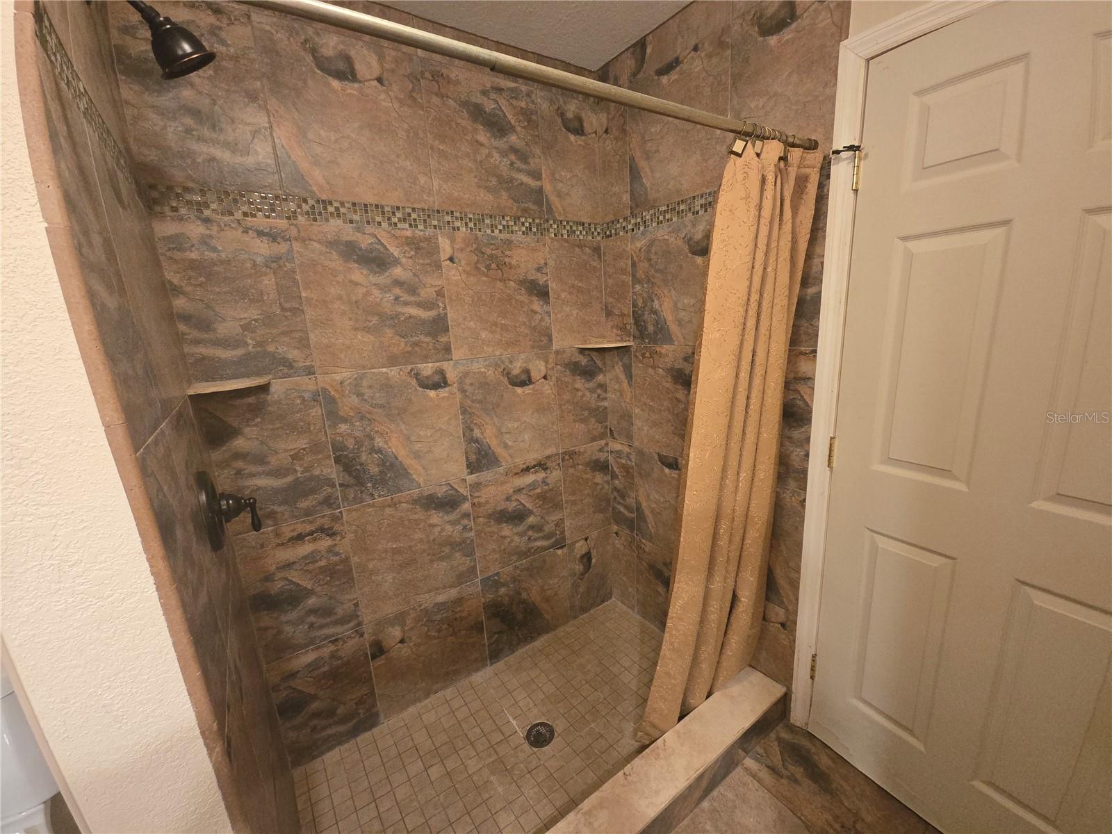 Main bath walk-in shower
