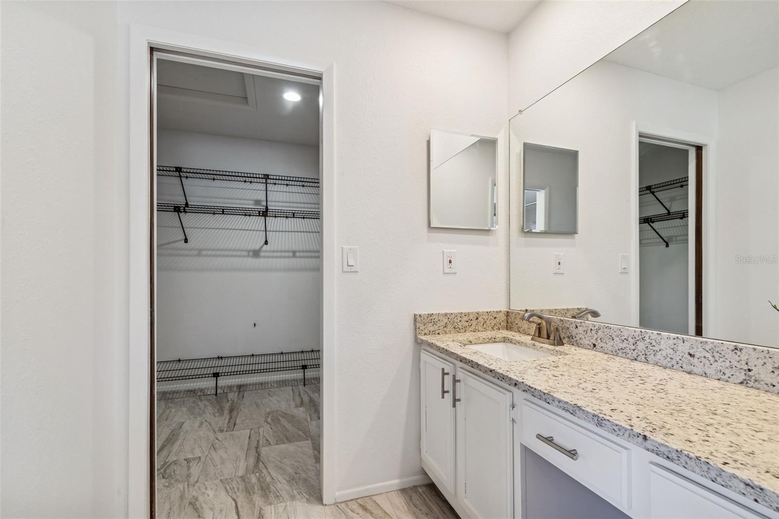 Master Bathroom sink/vanity & Closet