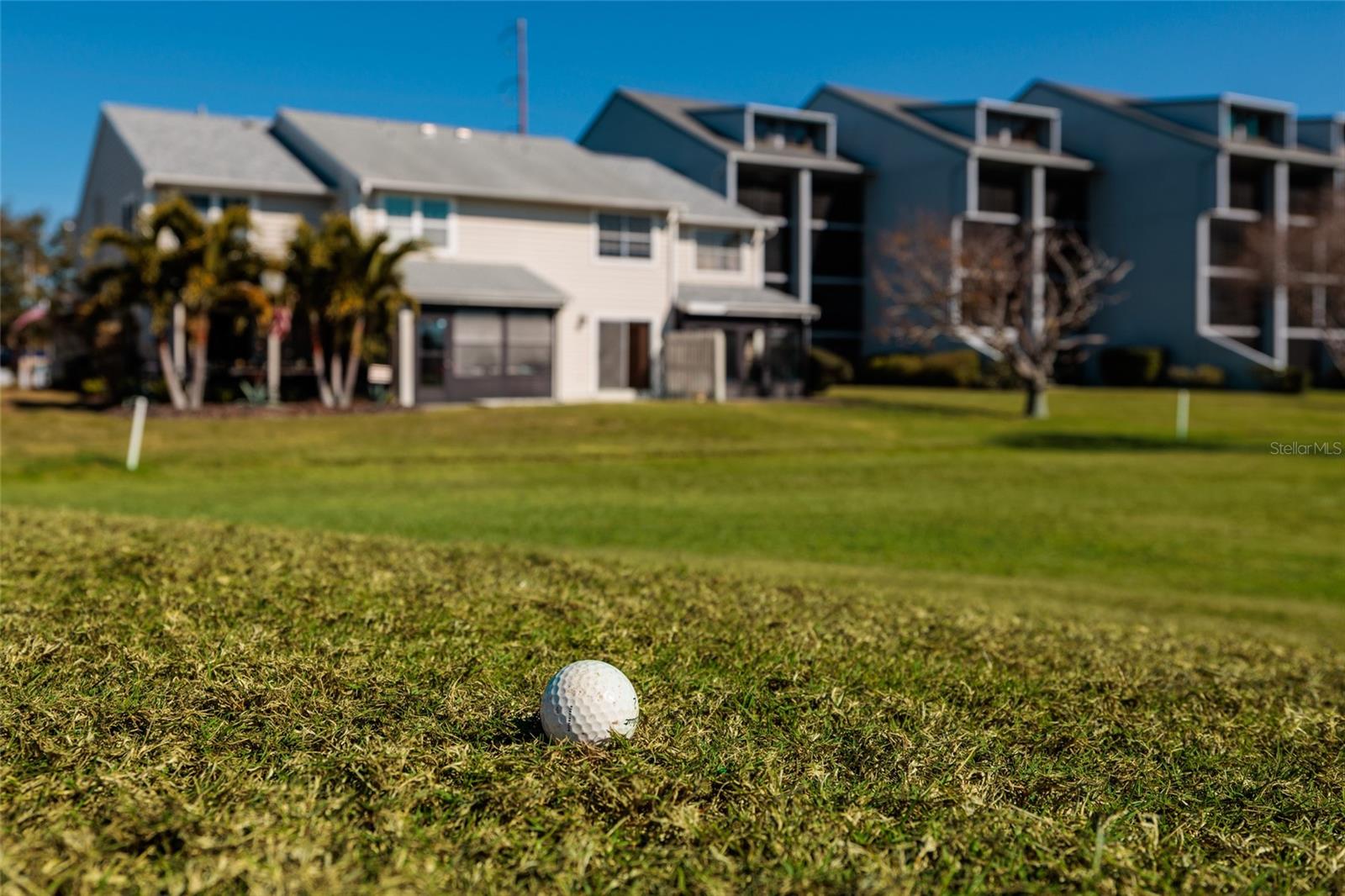 Back Golf Course View