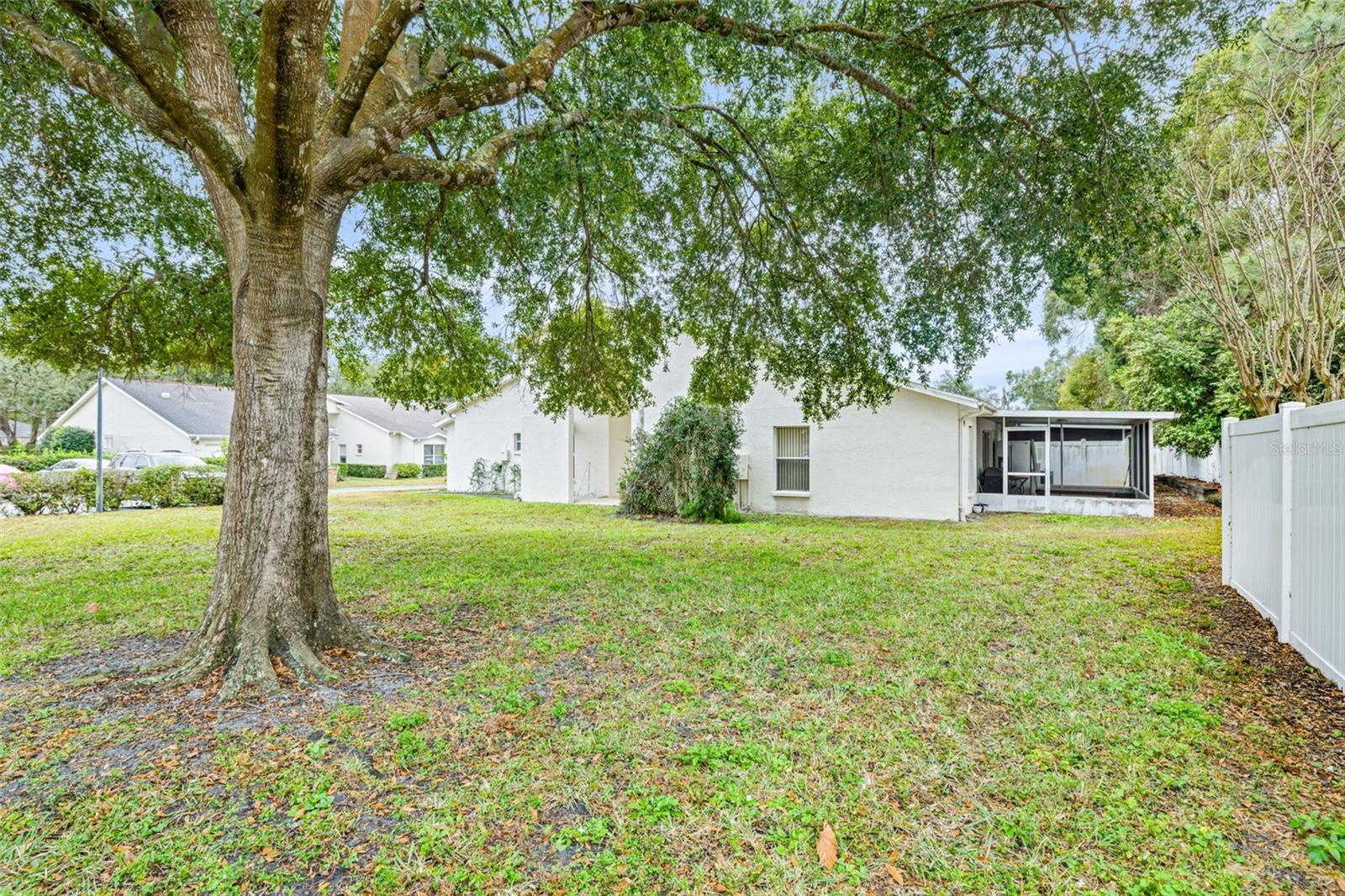 Peaceful Surroundings