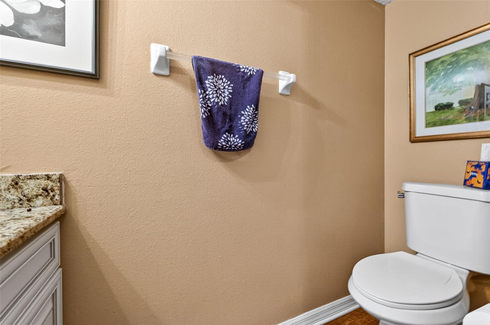 Half Bathroom Downstairs