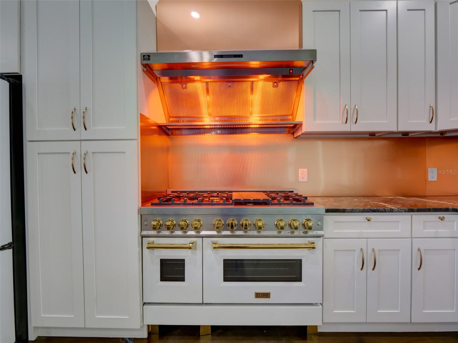 Zline Range and Hood
