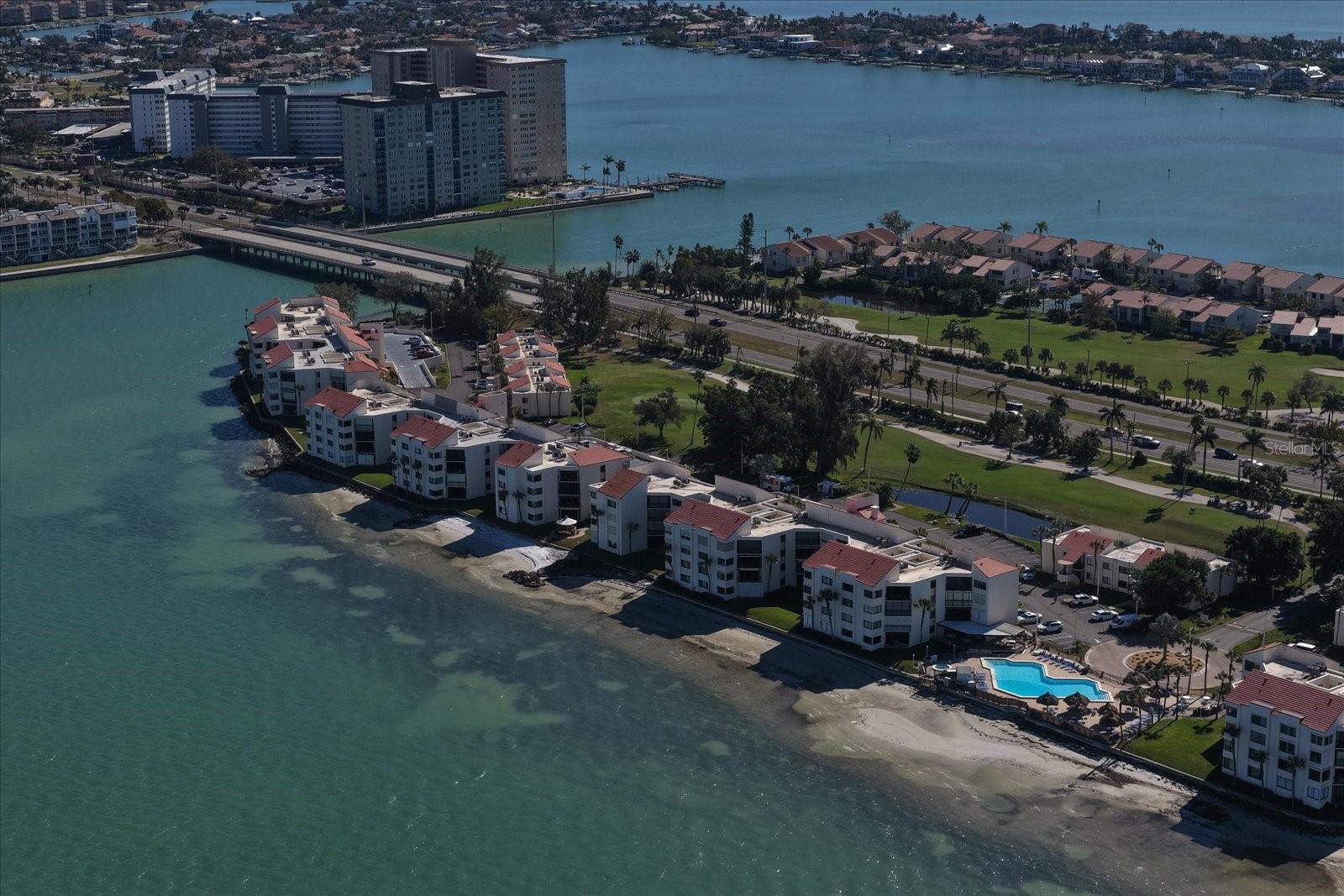 So many dolphins love to play around this bay!