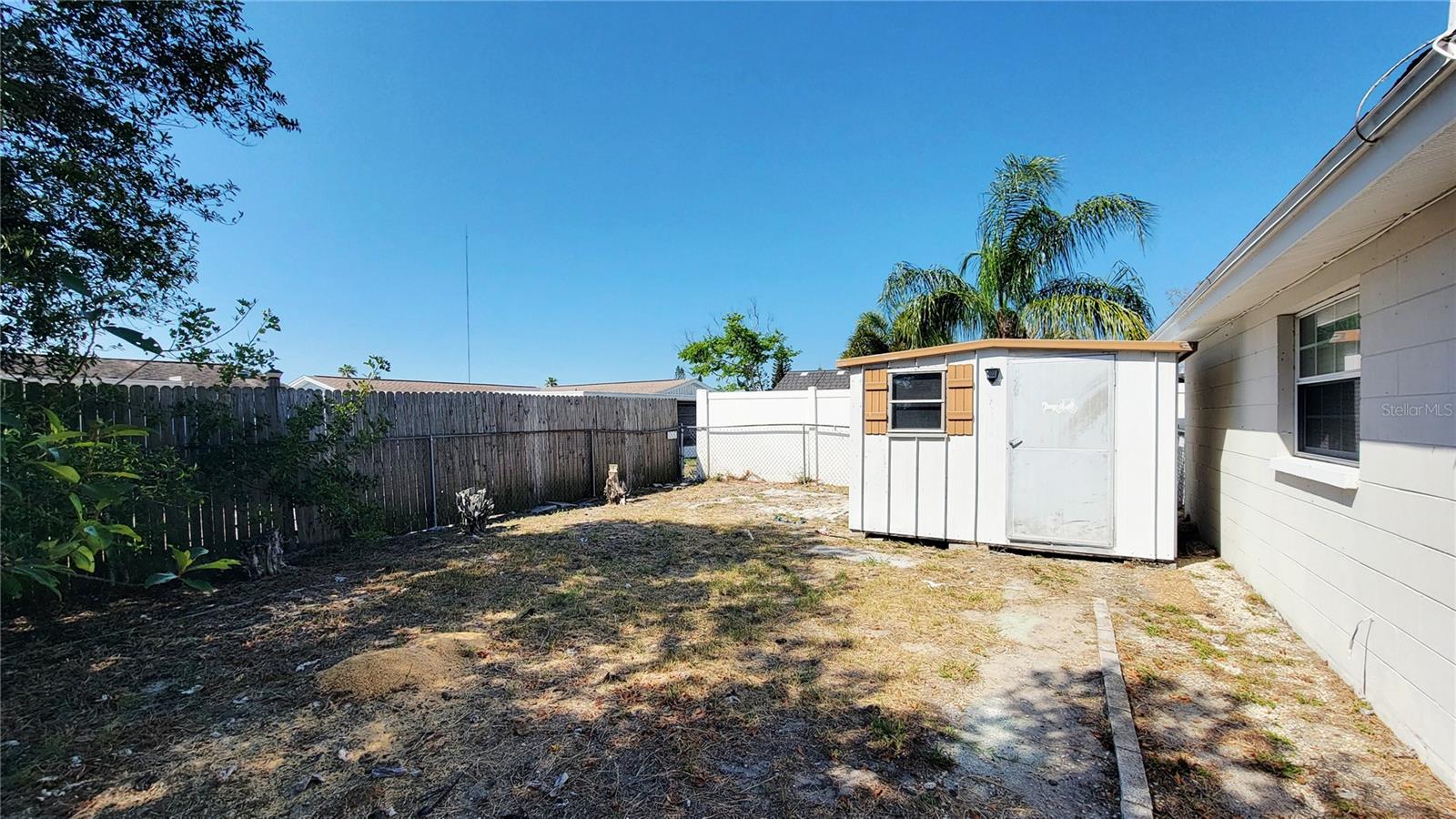 Backyard & shed