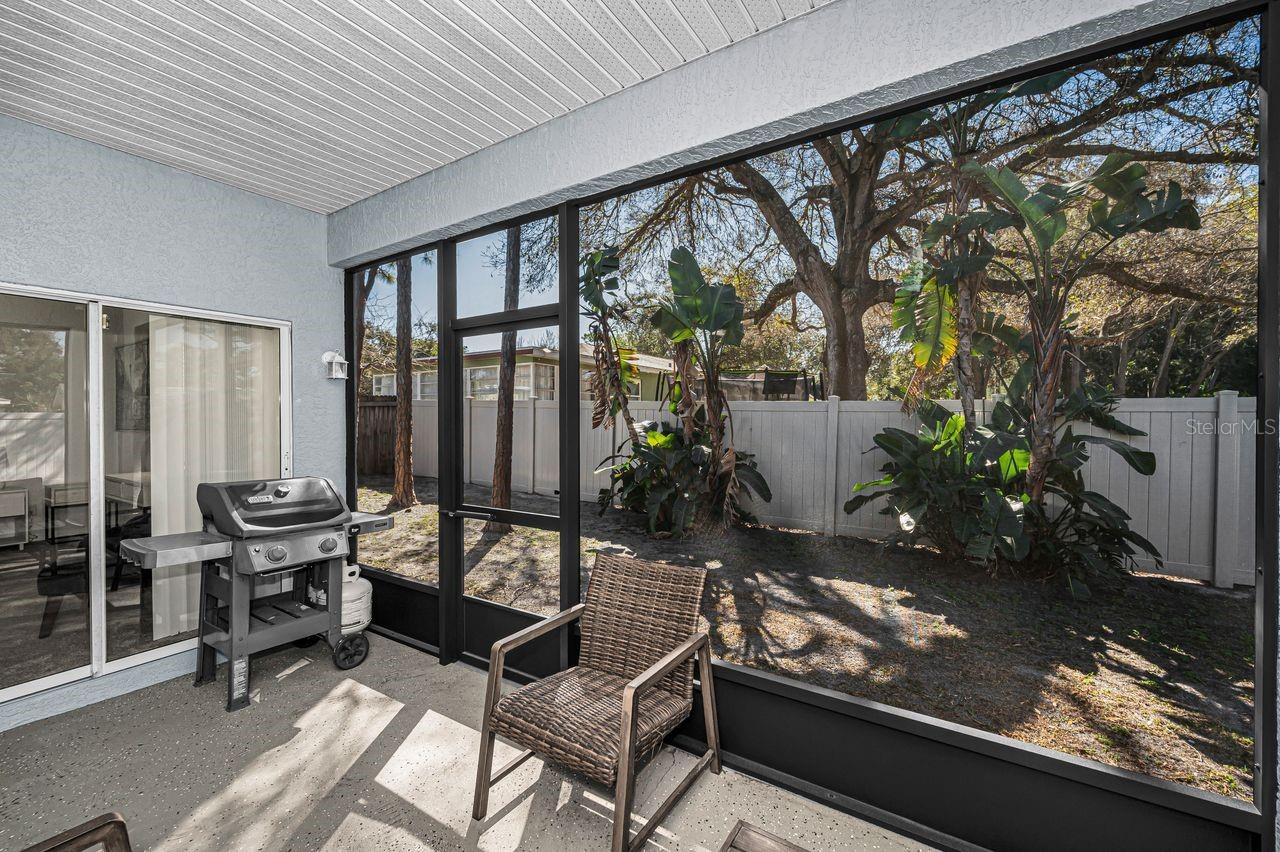 Rear yard outside of screened patio