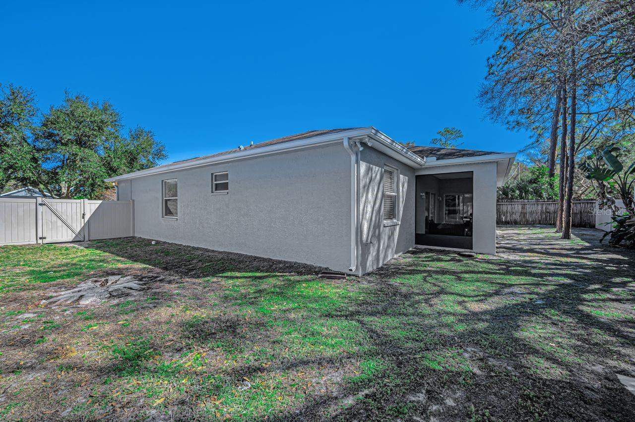 So much space to run and play!