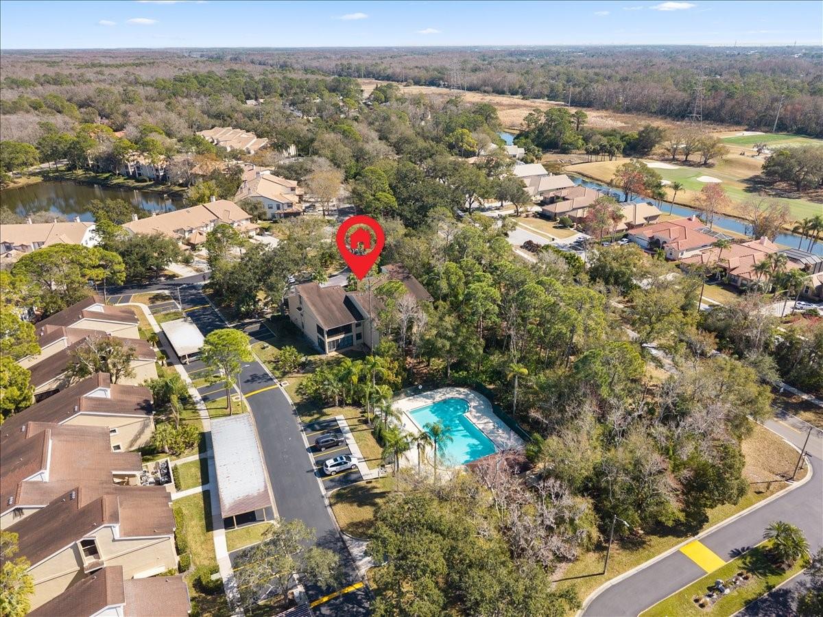 40 Shamrock Way Oldsmar FL 34677