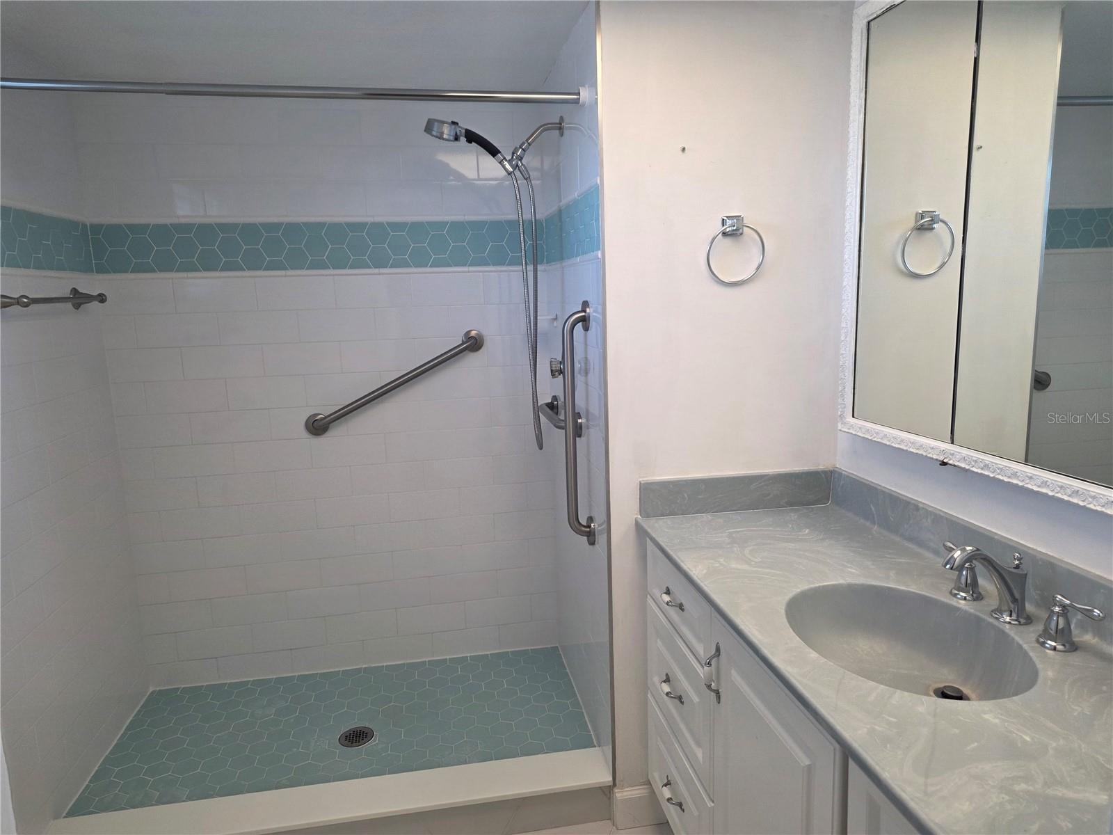 Master walk in shower