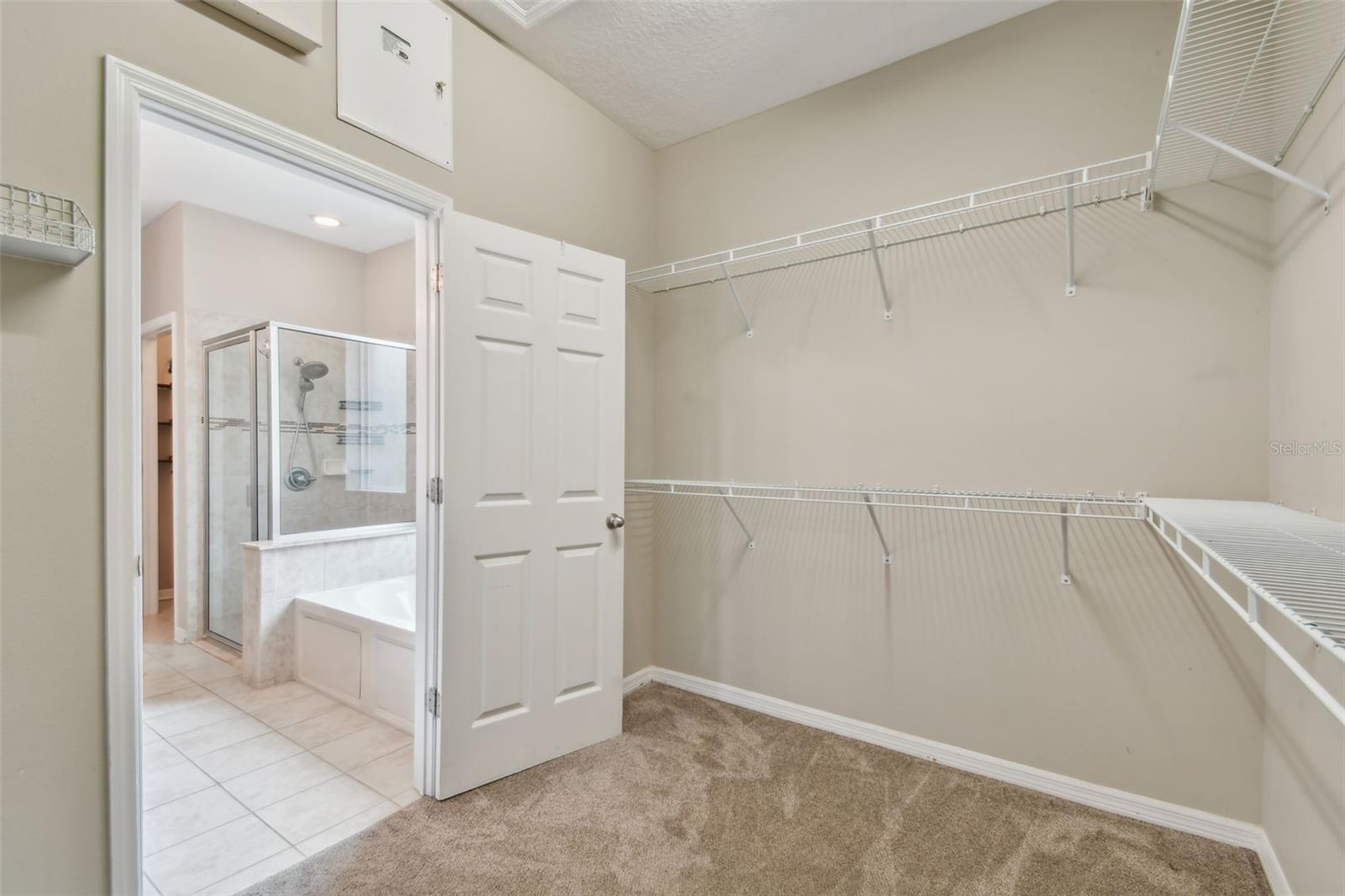 Great walk-in Closet