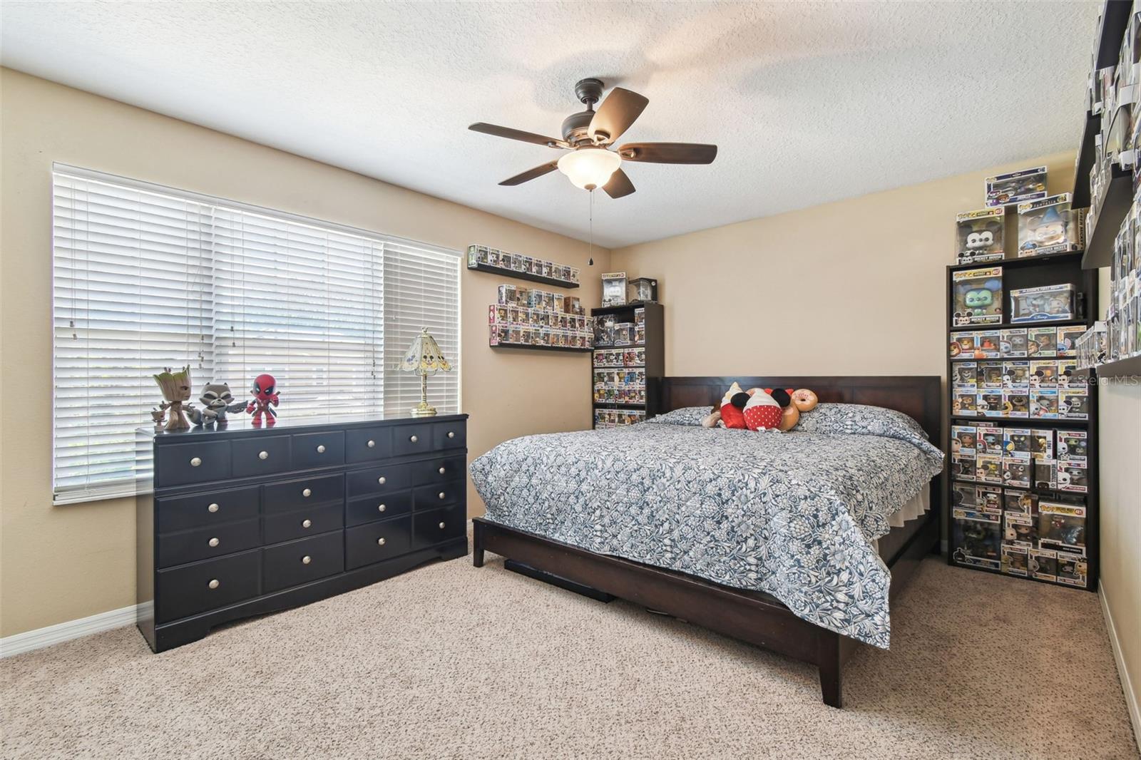 **Previous Homeowner furnishings**