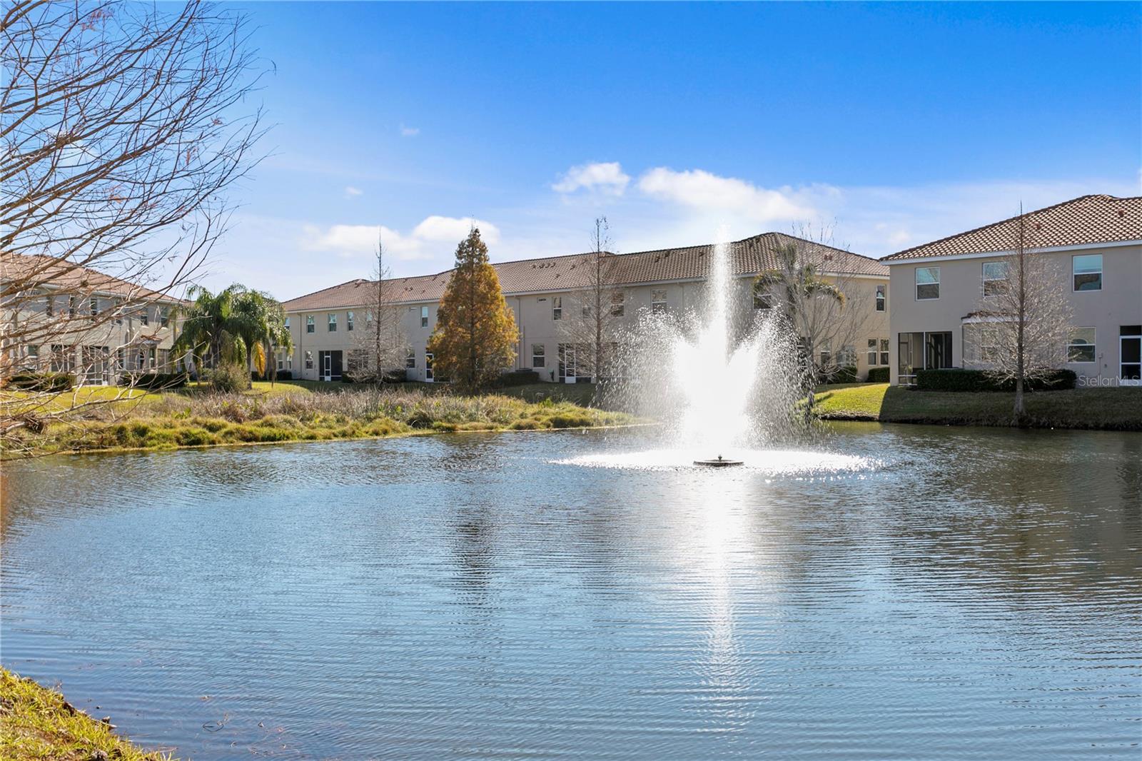 view from back porch