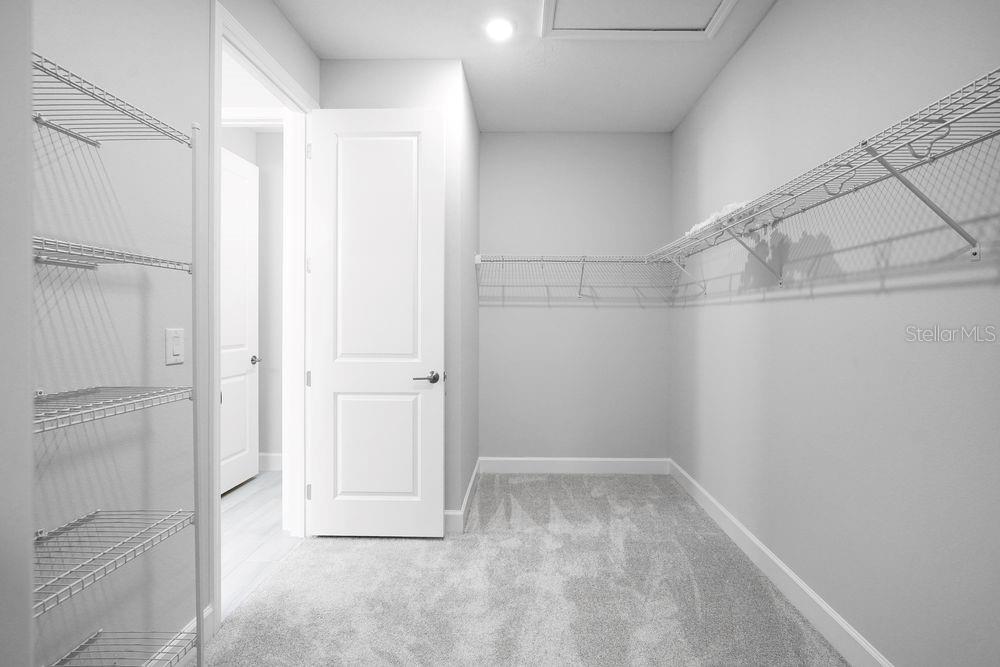 1669 Anson Lane ~ Ready Now