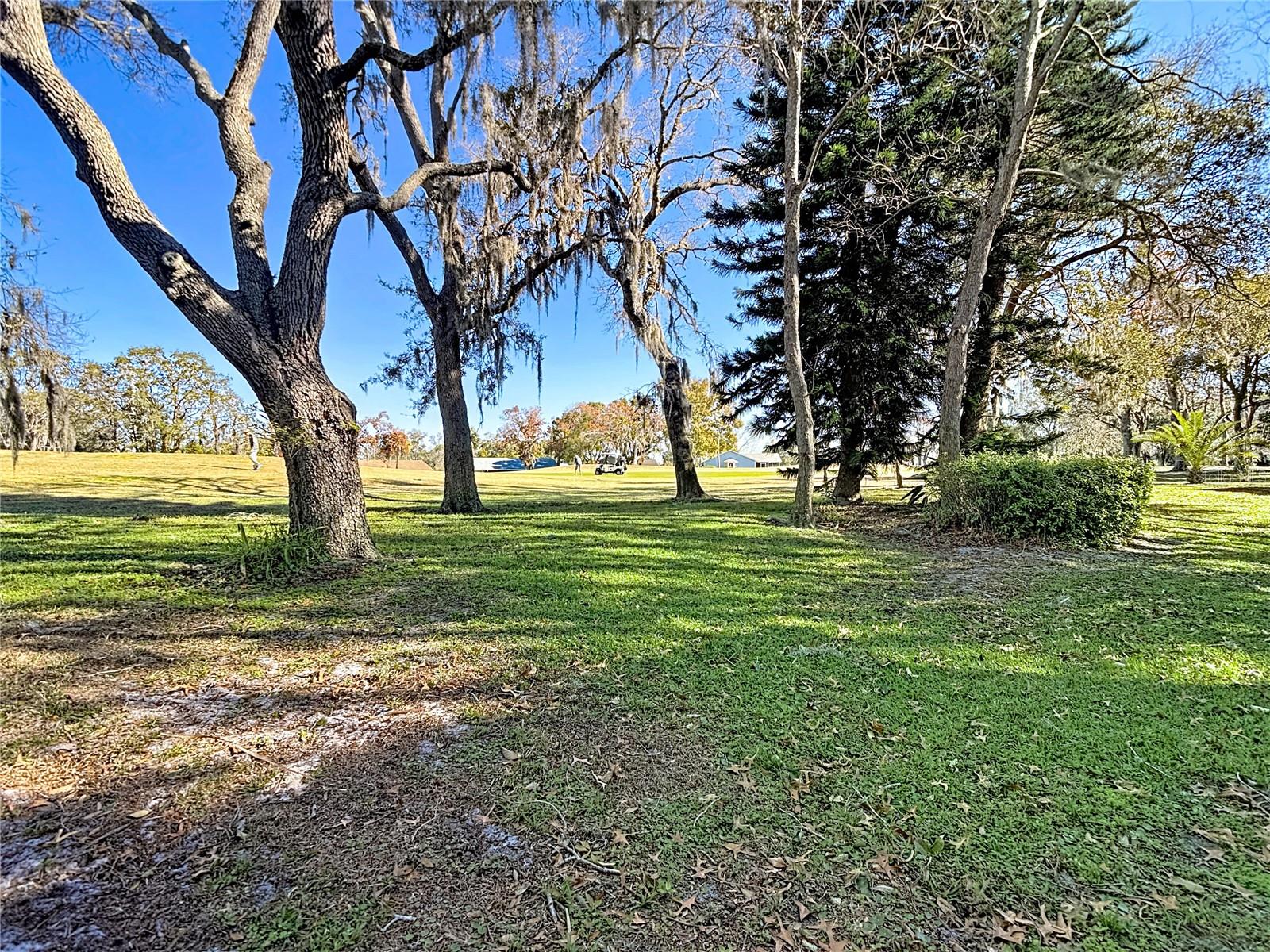 REAR VIEW FROM SCREENED PORCH