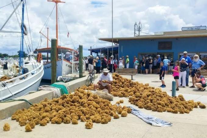 Close to Tarpon Springs Sponge Docks