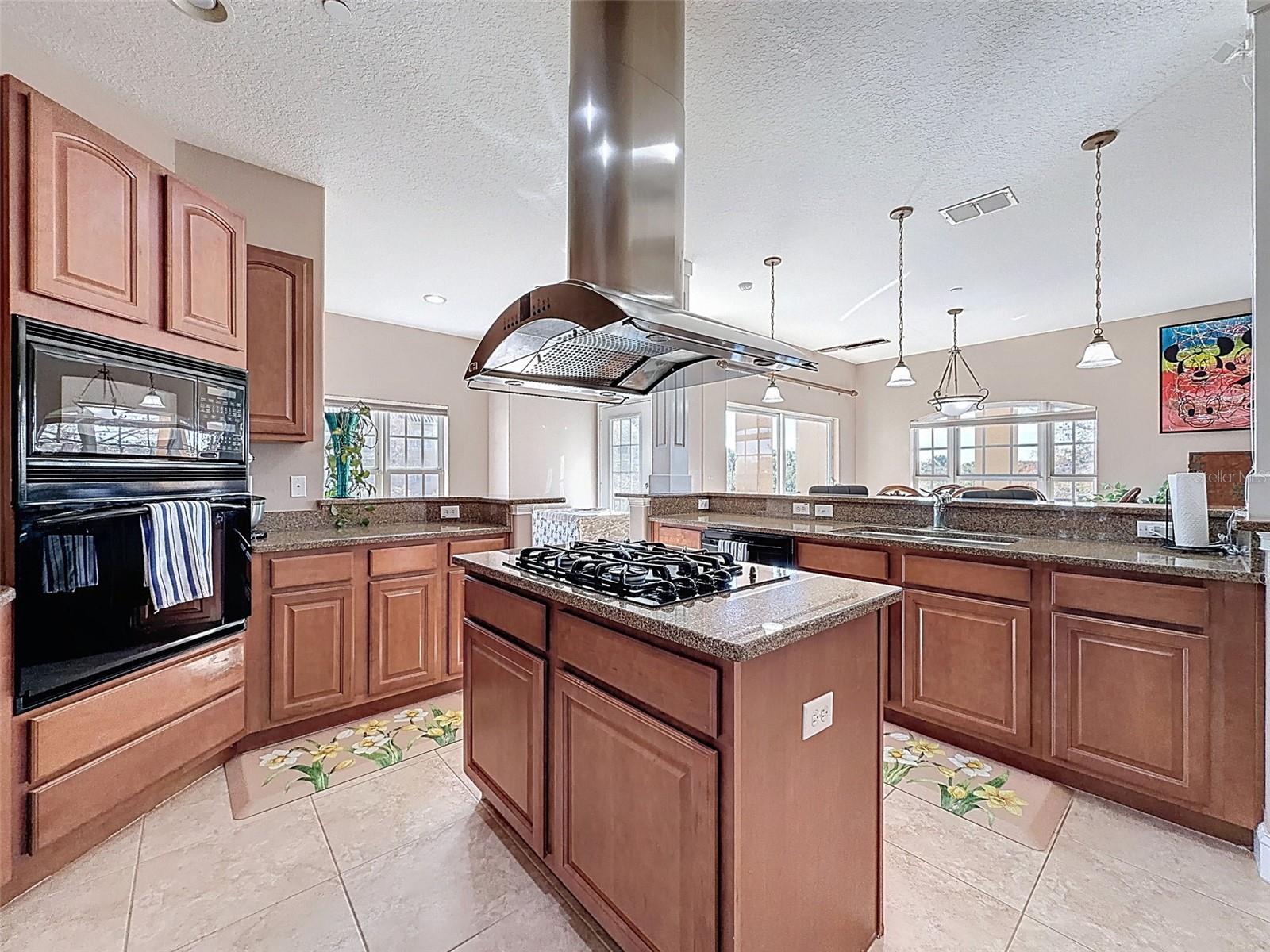 Chef's kitchen with gas stove