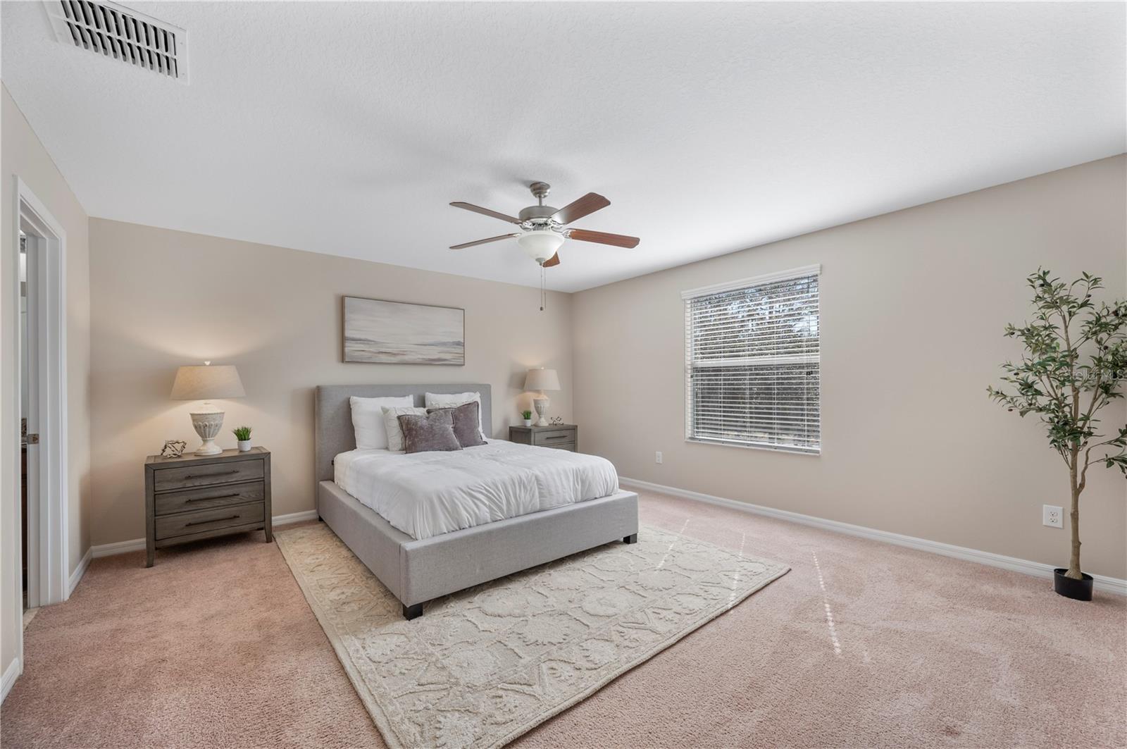 Huge Primary Bedroom