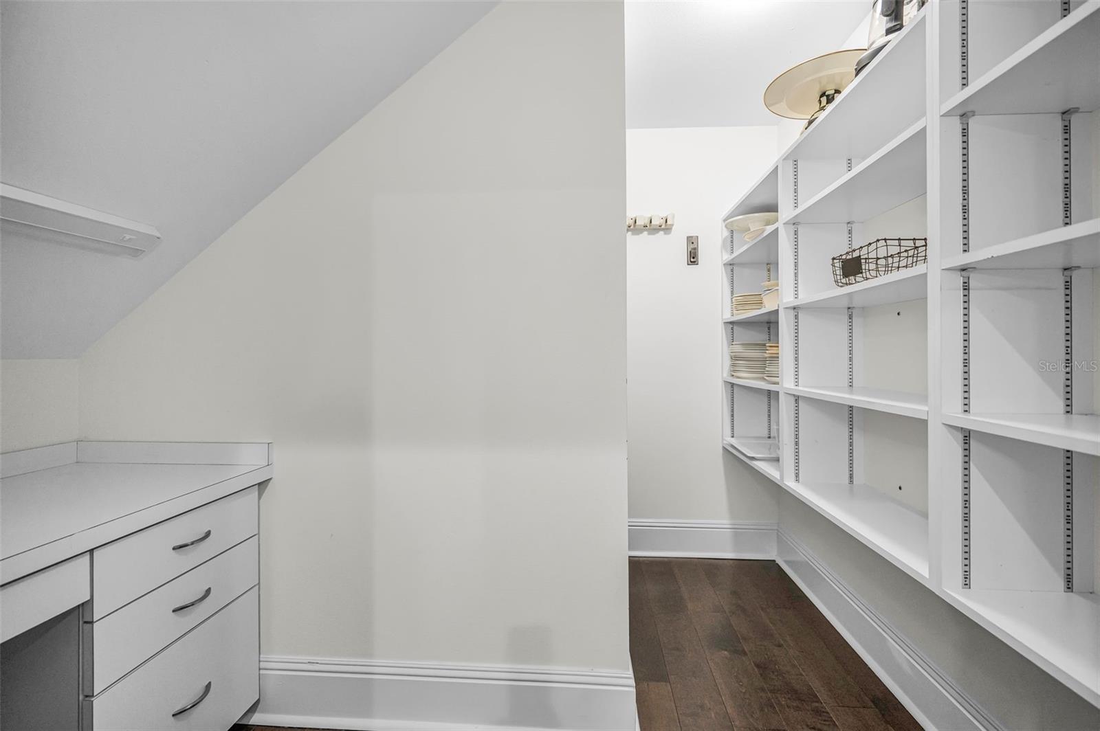 An expansive walk-in pantry with storage galore.