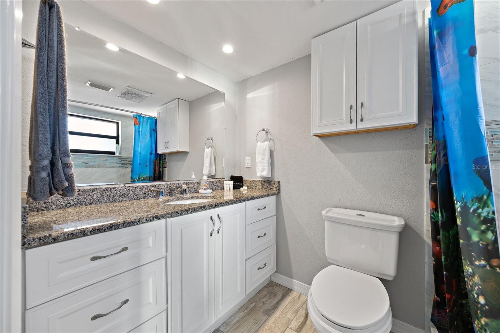 primary bath has ample counter space