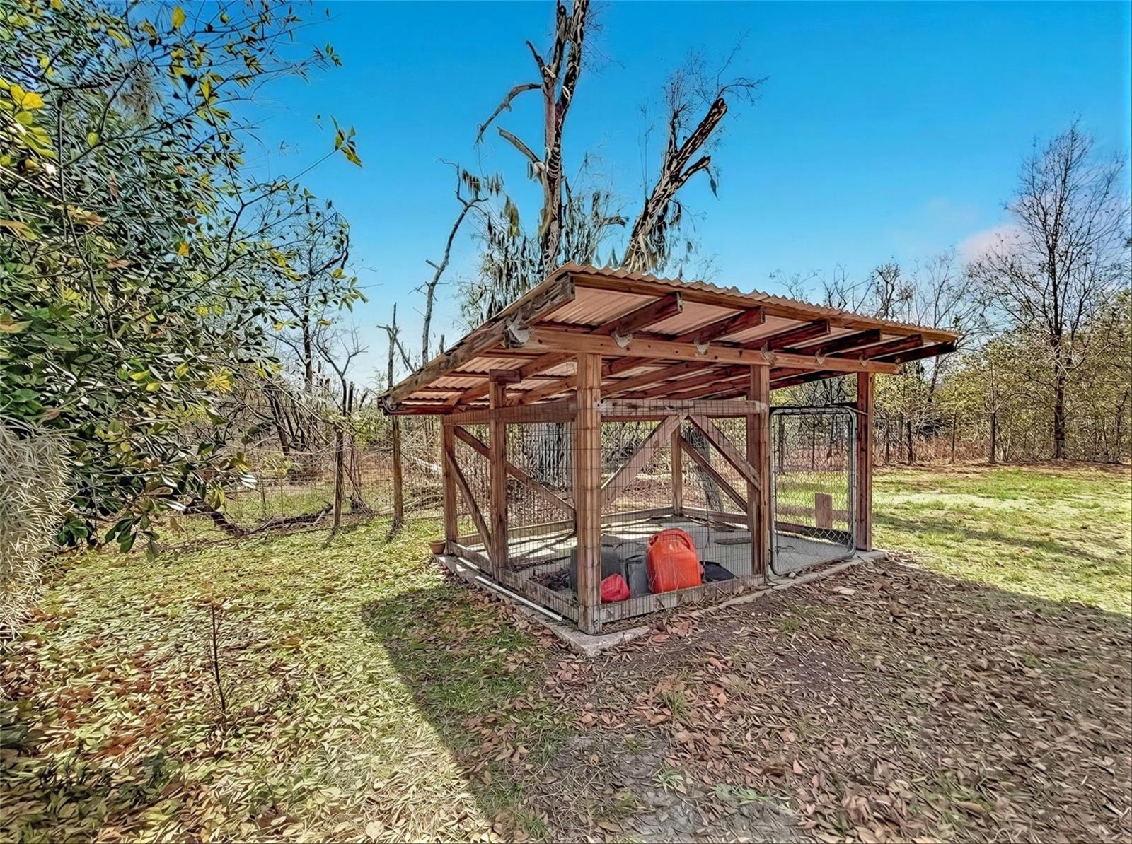 Dog Kennel or chicken coop