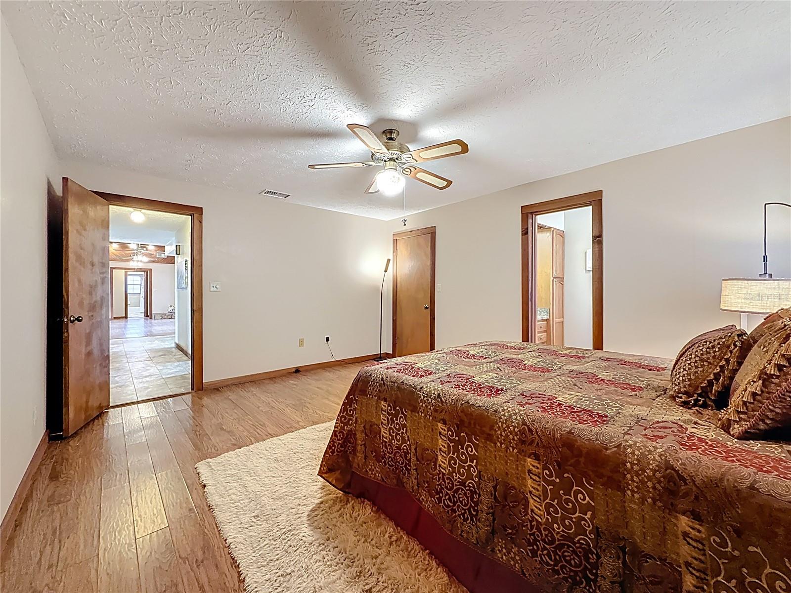 primary bedroom with walk in closet