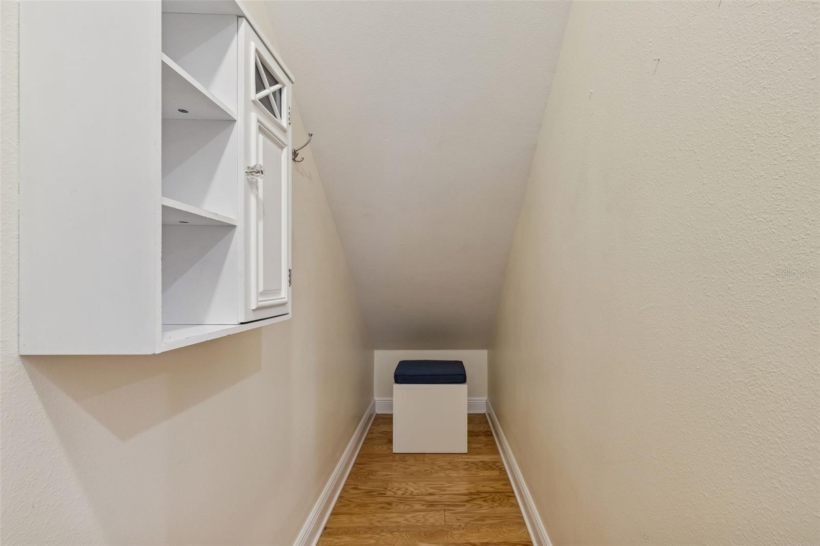 Under stairwell srorage