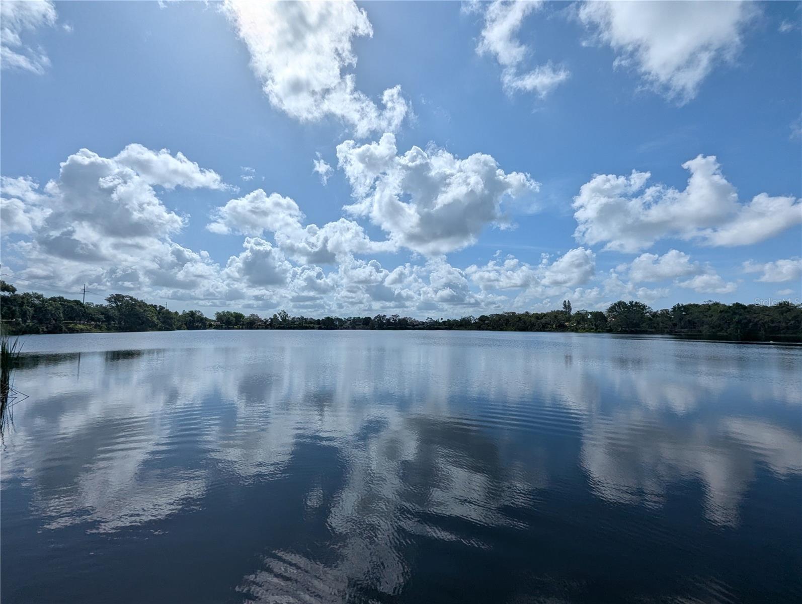 Whitesell Softball Complex/Park