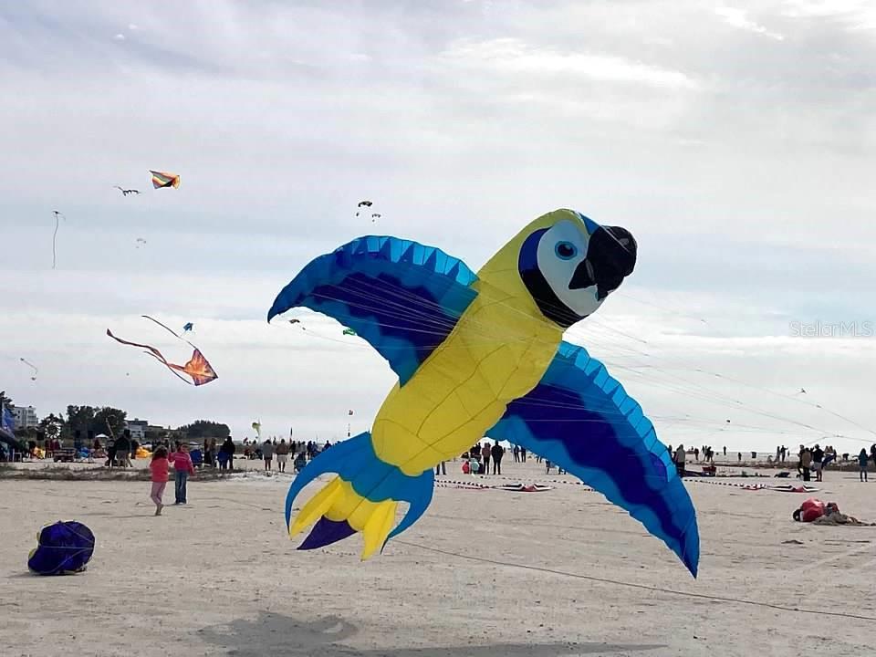 Kite Festival at Treasure Island Beach
