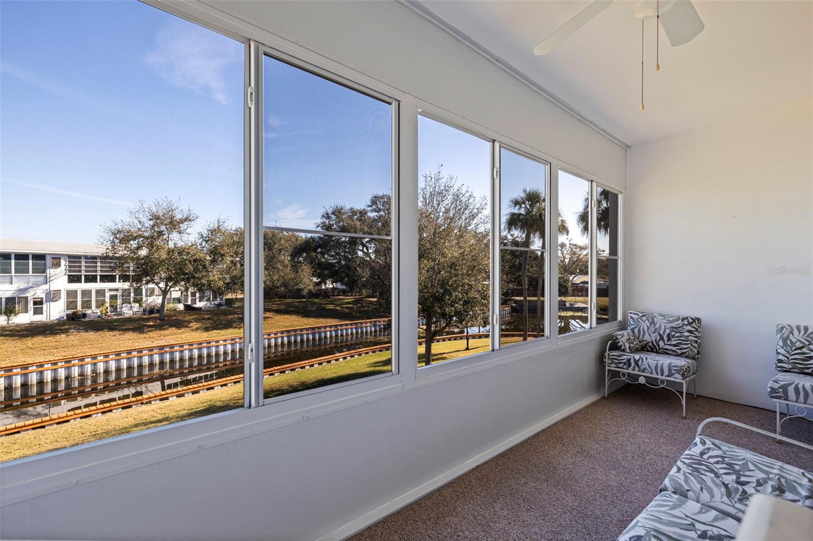 Relax and watch nature at play