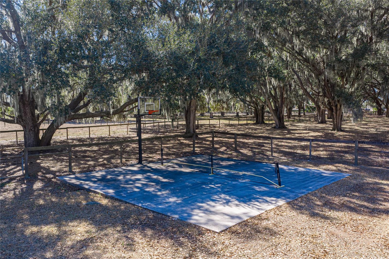 Basketball and pickleball court