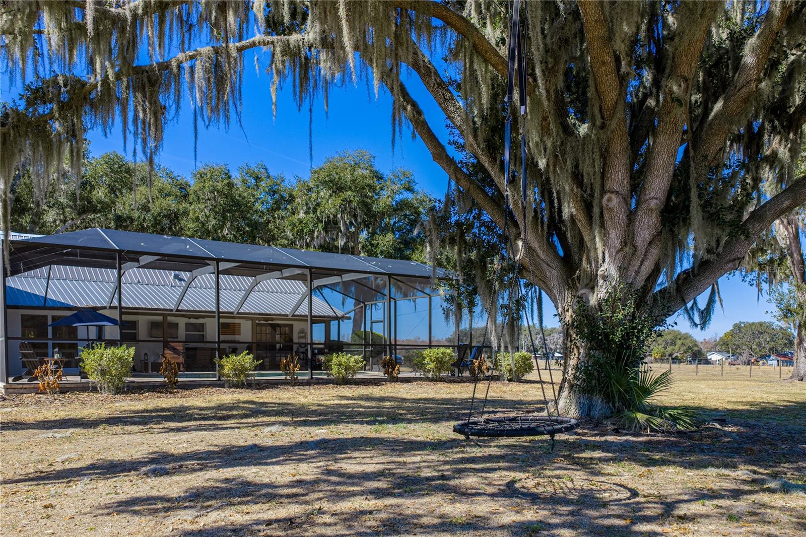 Swing under the trees