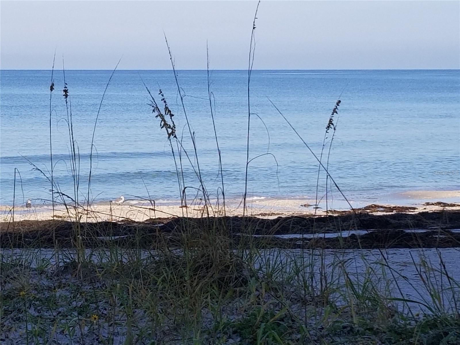 Turquoise waters and miles of beaches to explore!