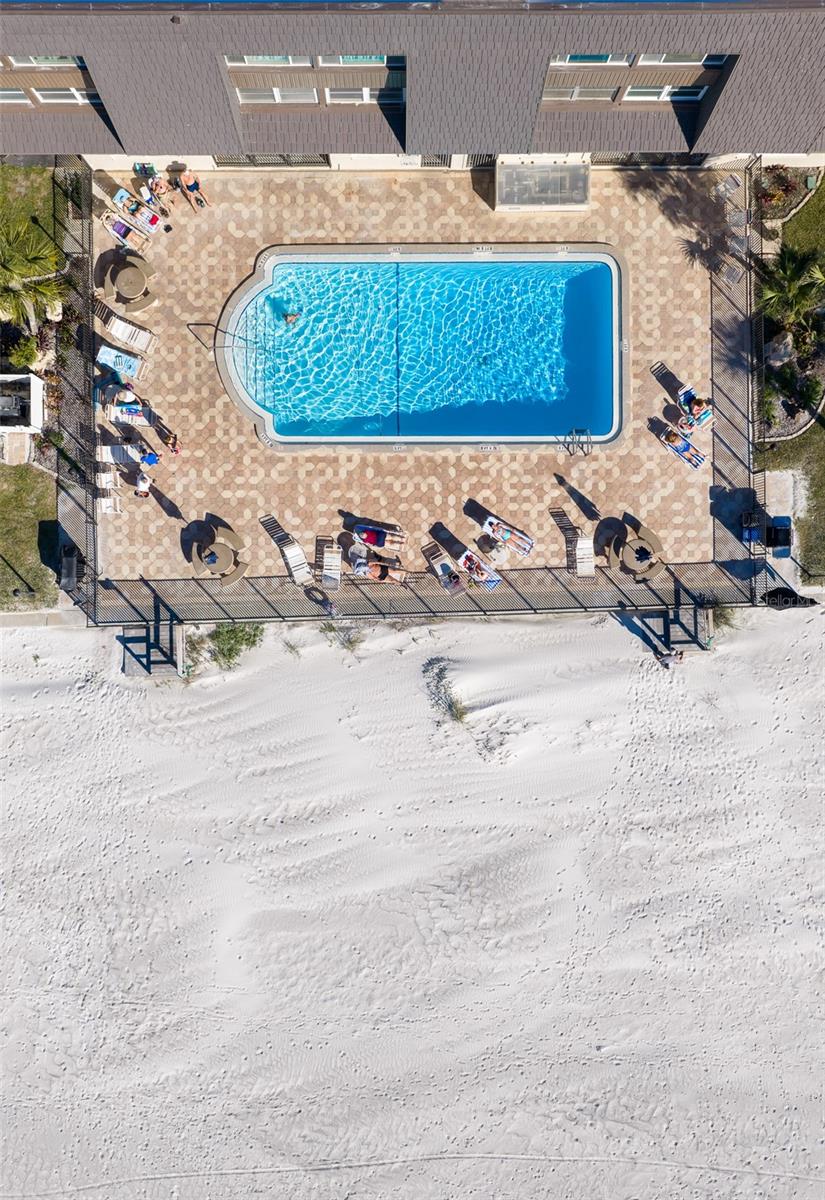 Large pool surrounded by sundeck-lots of room to relax and enjoy living by the sea!