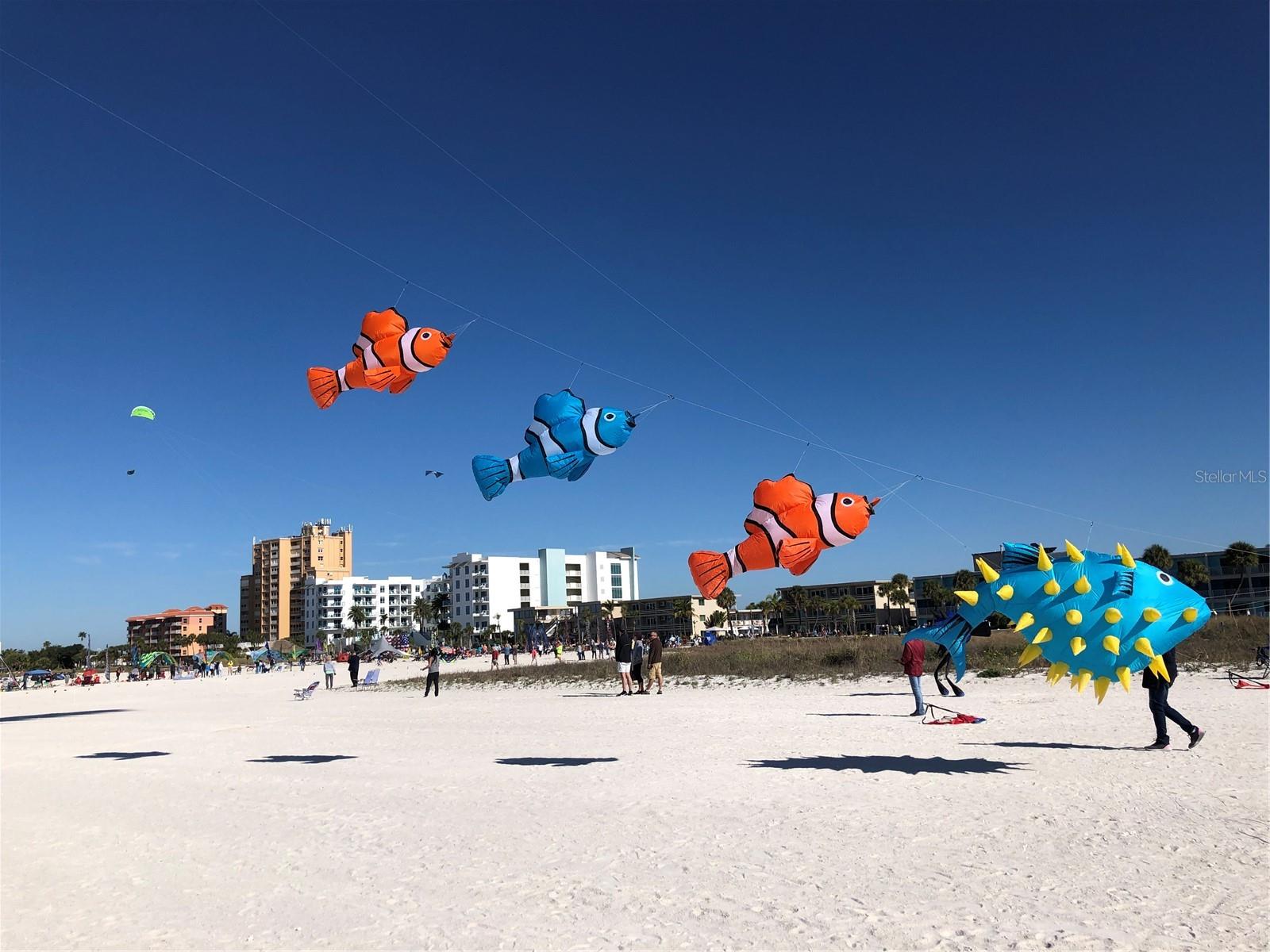Annual Kite Festival