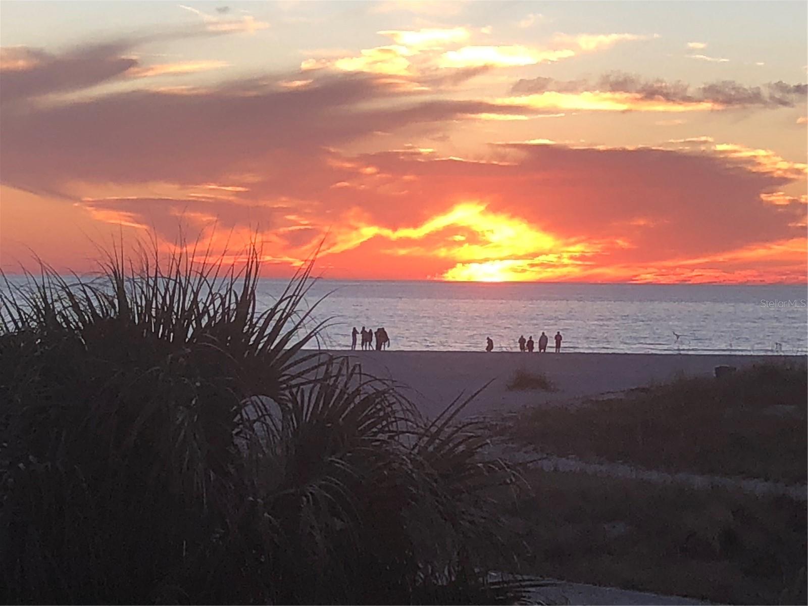 Daily Sunsets from community