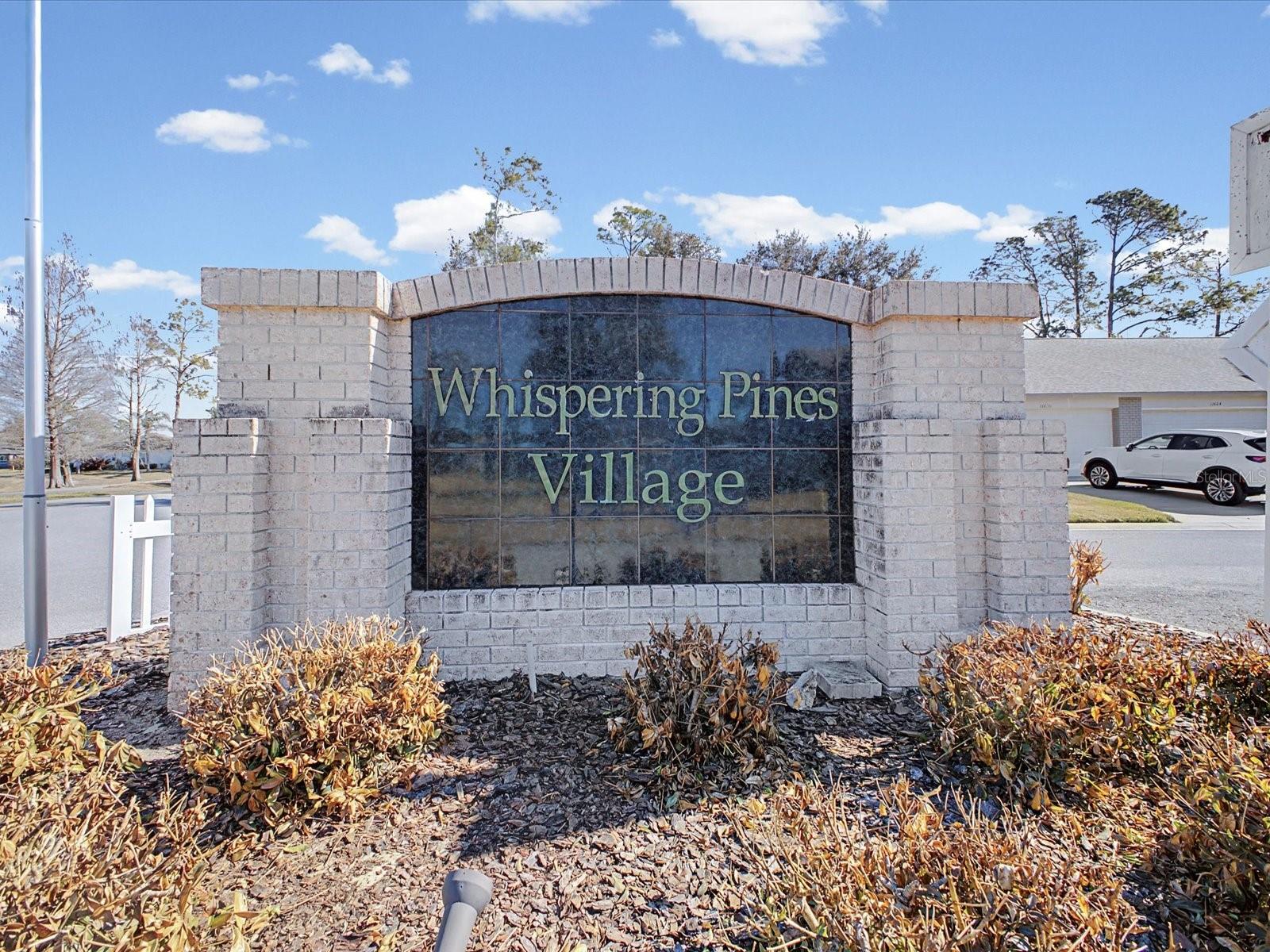 Maintenance Free Village