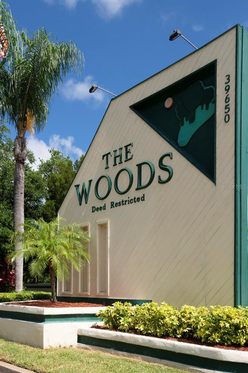 Woods at Anderson Park