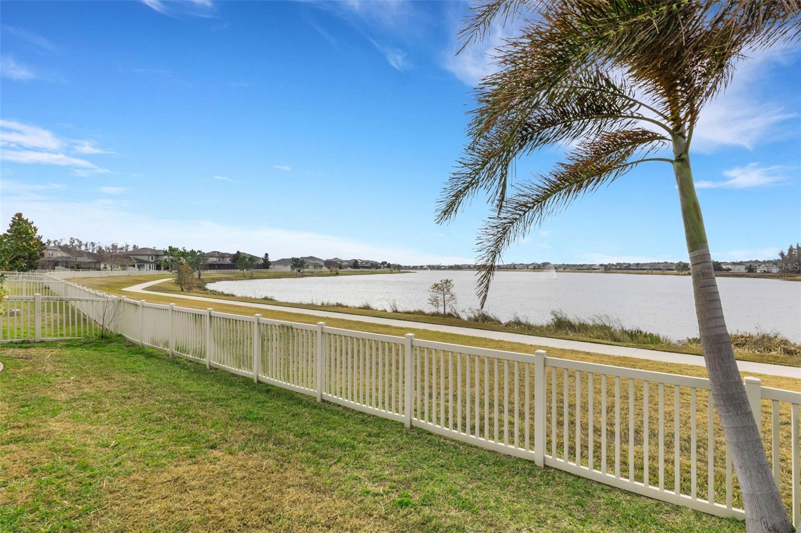 Views of pond from backyard