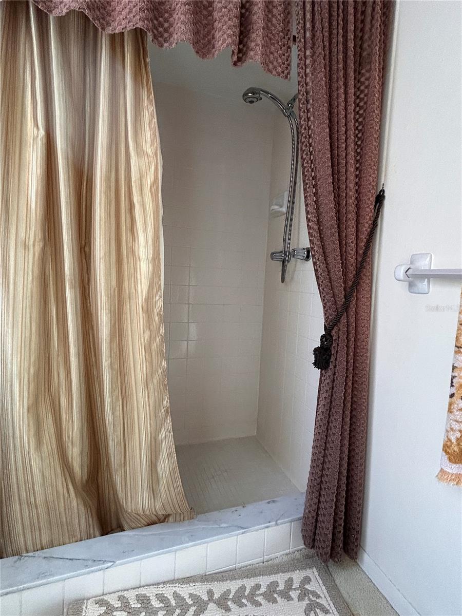 Step in Shower in Hall Bath