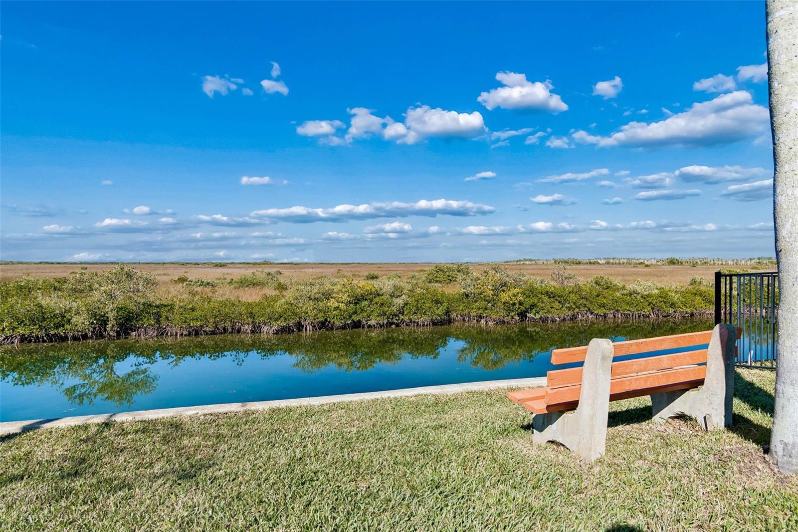 Waterway and marsh view –