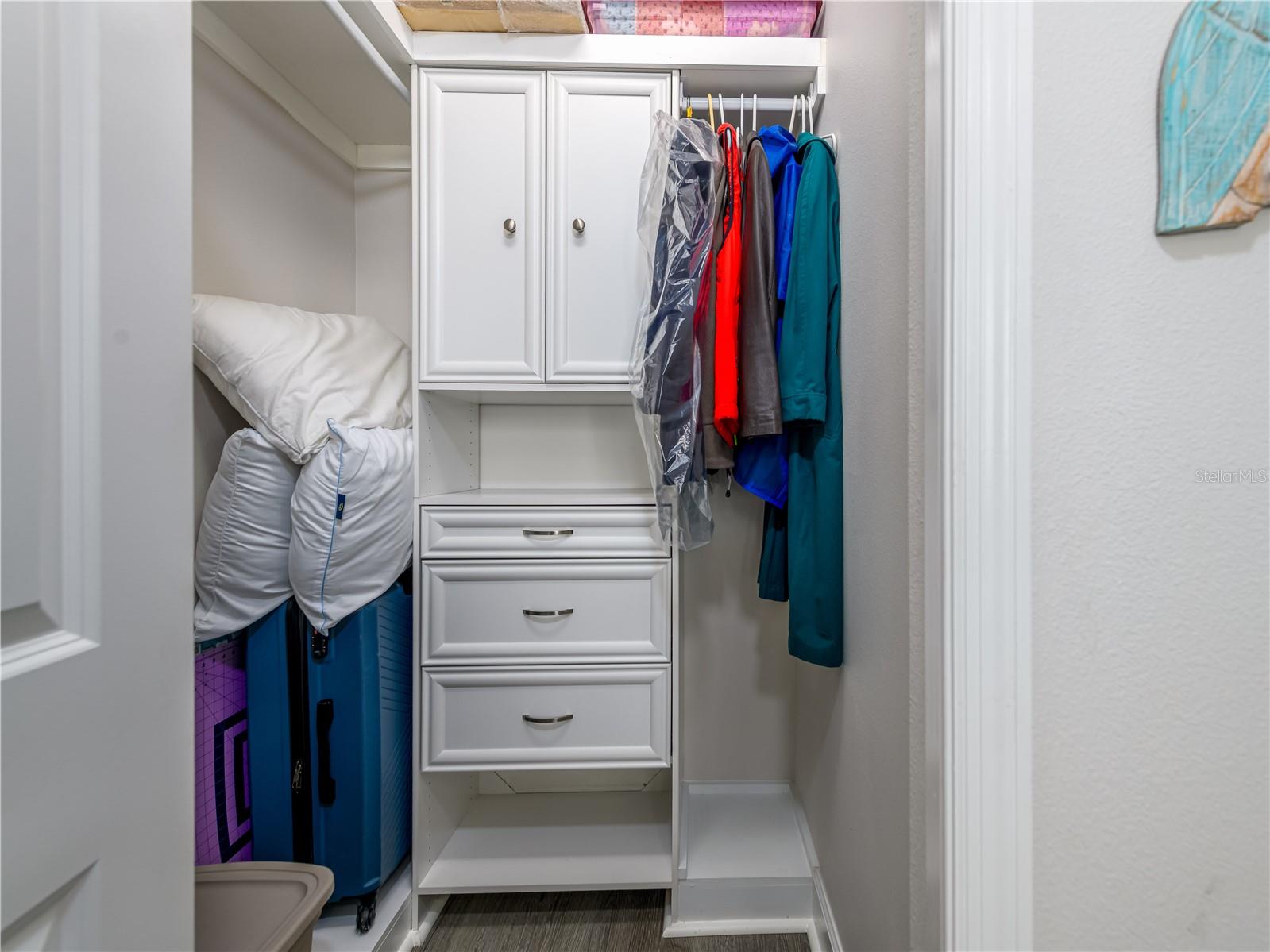 Walk in guest closet
