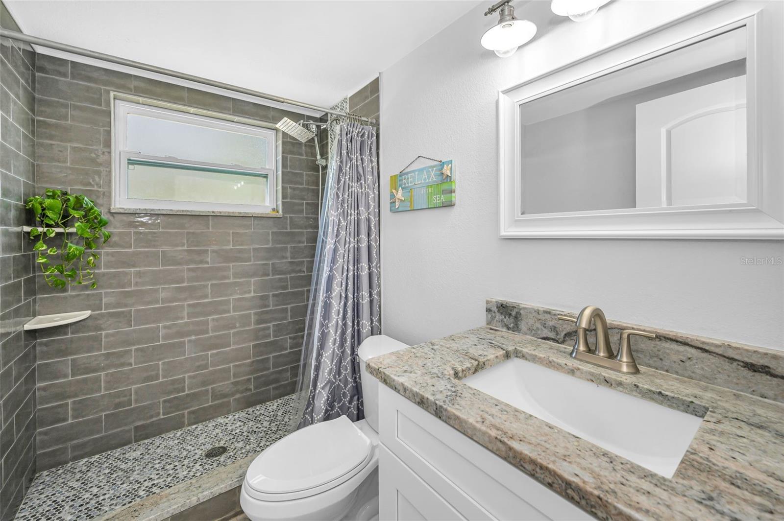 Downstairs remodeled bathroom #1