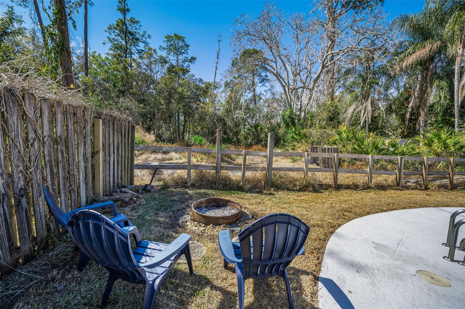 Beautiful wooded backyard view