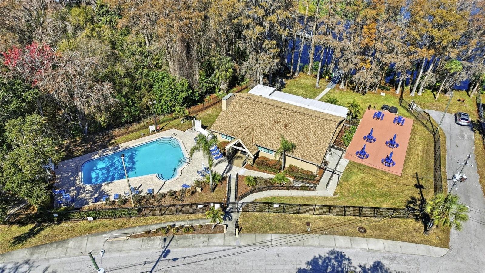 Lake Tarpon Lodge Pool