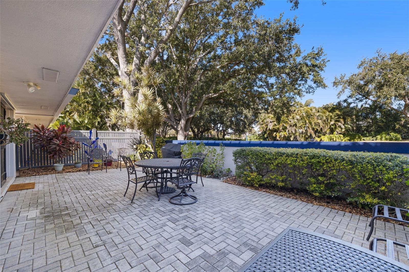 Expansive Back Patio