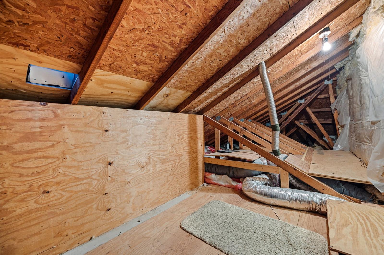 Walk-in Storage / Possible Living Space