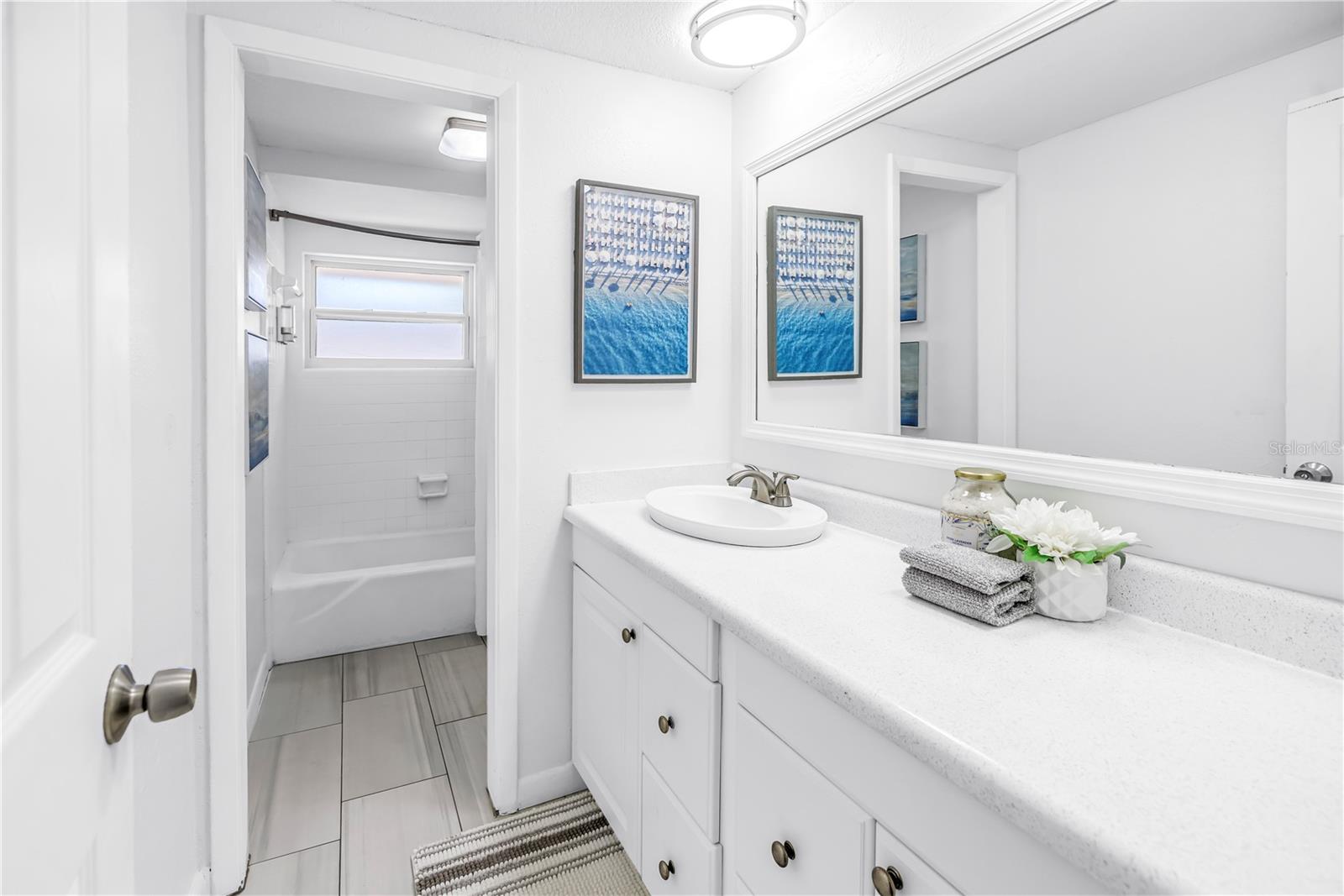 Full Hallway Bathroom